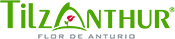 Logo de Tilzanthur